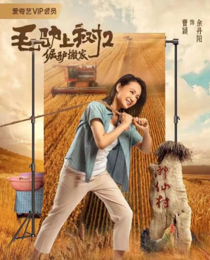 亲家小姐2