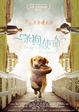 激烈的男同h