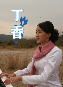 午夜av观看