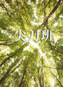 久久综合偷拍