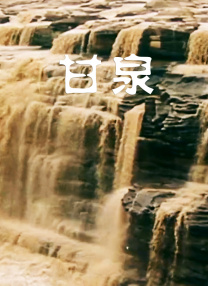 美国婷婷