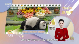 2022国产精品自产拍在线观看